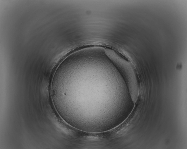 X0000089940394200707061104