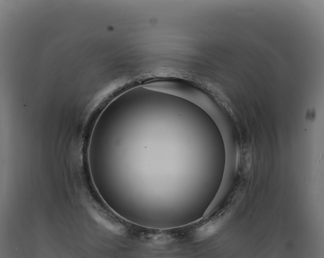 X0000089940395200707061104