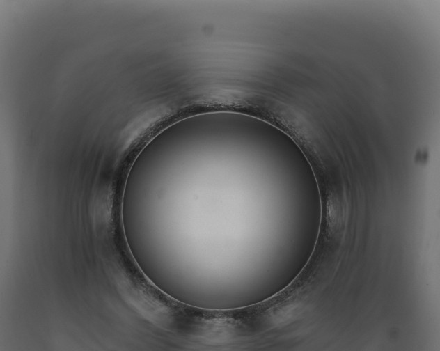 X0000089940396200707061104