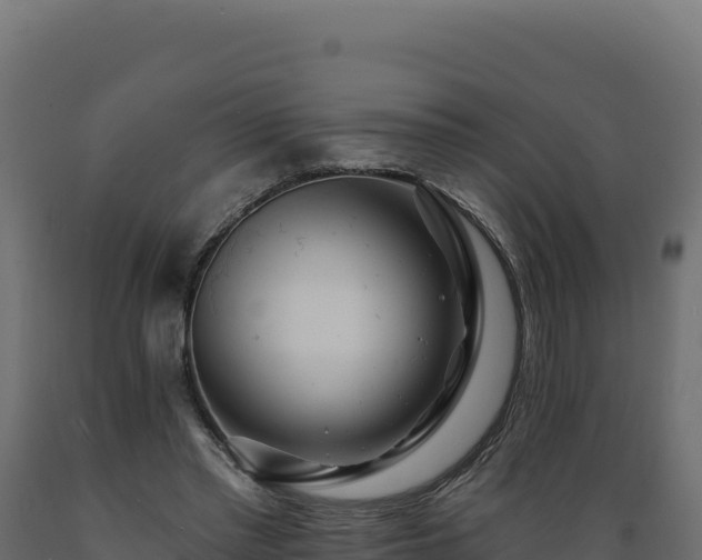 X0000089940397200707061104