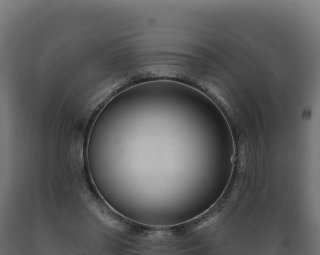 X0000089940398200707061104