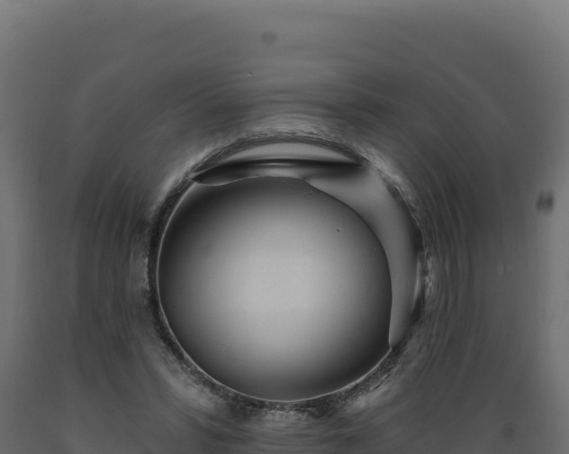 X0000089940399200707061104