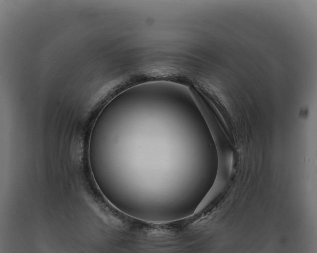 X0000089940400200707061104