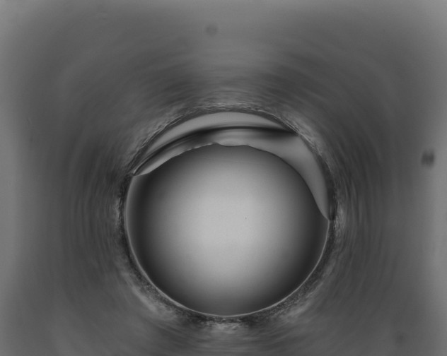 X0000089940401200707061104