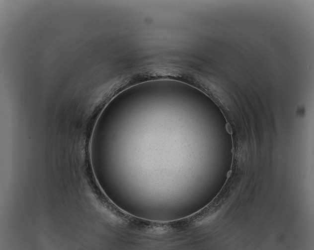 X0000089940402200707061104