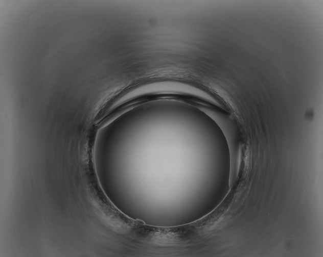 X0000089940403200707061104