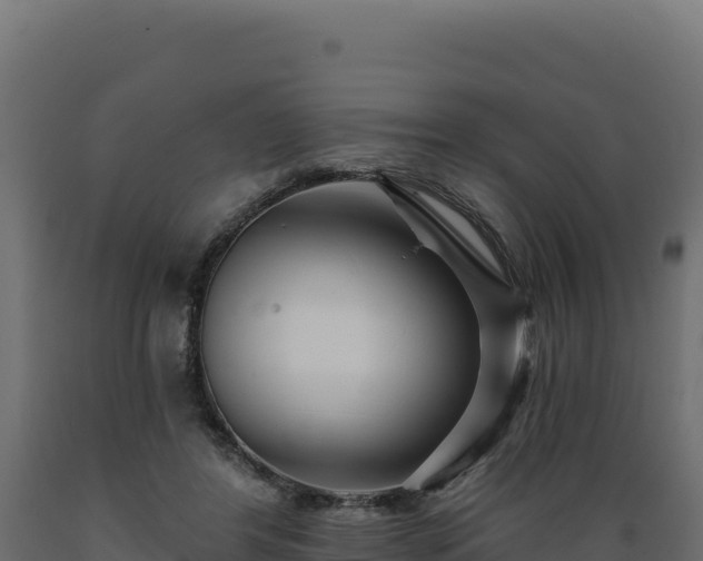 X0000089940404200707061104