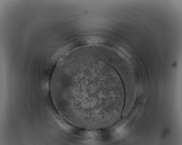 X0000089940405200707061104