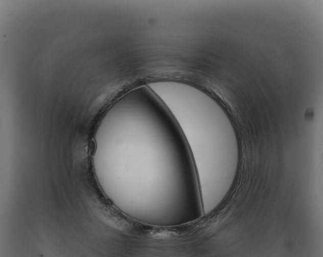 X0000089940407200707061104