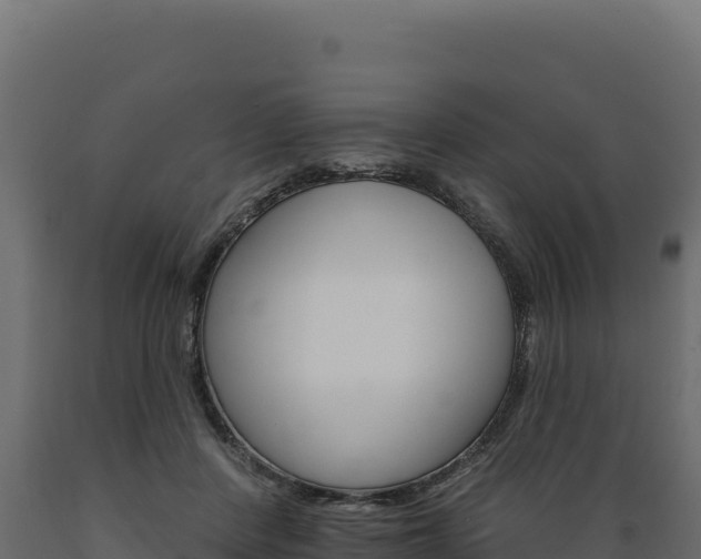 X0000089940408200707061104