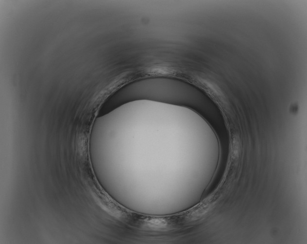 X0000089940409200707061104