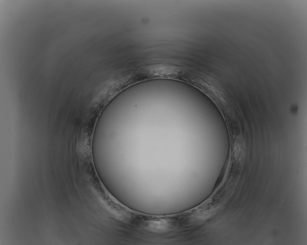 X0000089940411200707061104