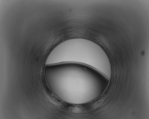 X0000089940412200707061104