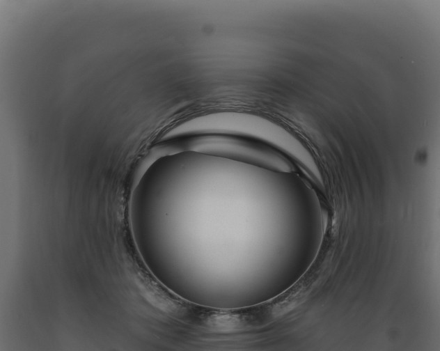 X0000089940413200707061104