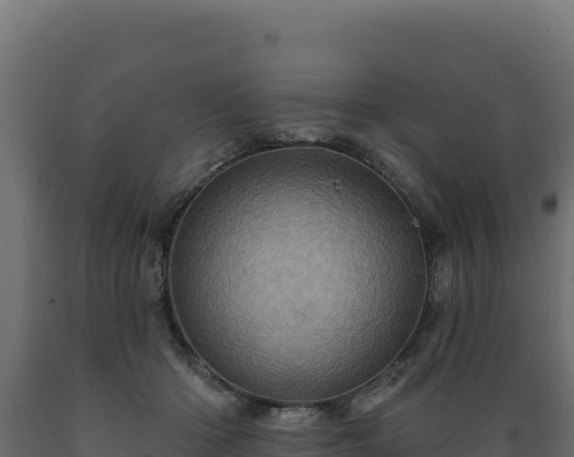 X0000089940414200707061104