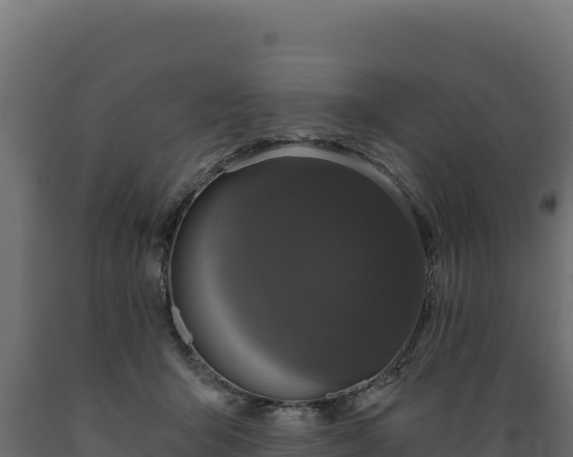 X0000089940415200707061104