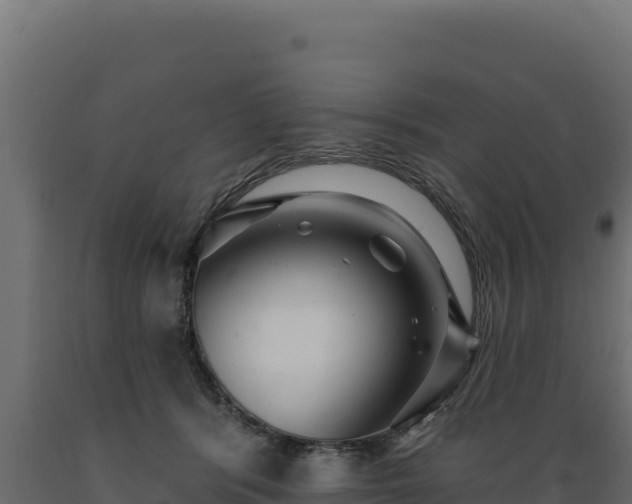 X0000089940416200707061104