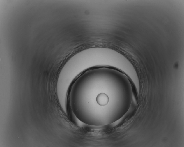 X0000089940417200707061104