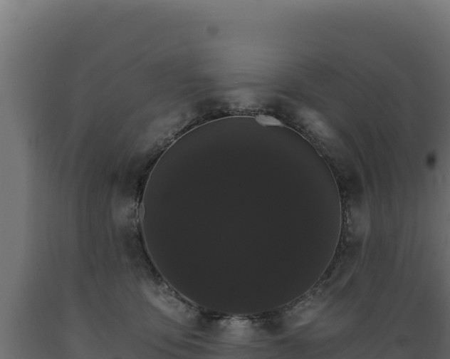 X0000089940419200707061104