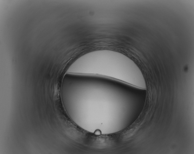 X0000089940420200707061104