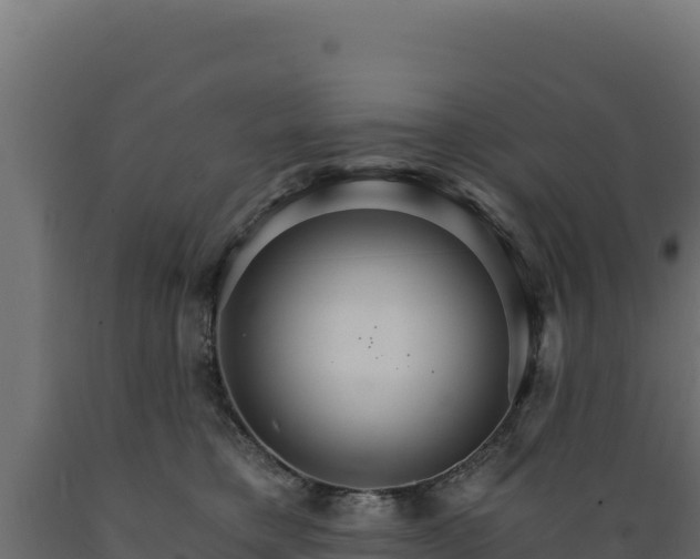 X0000089940421200707061104