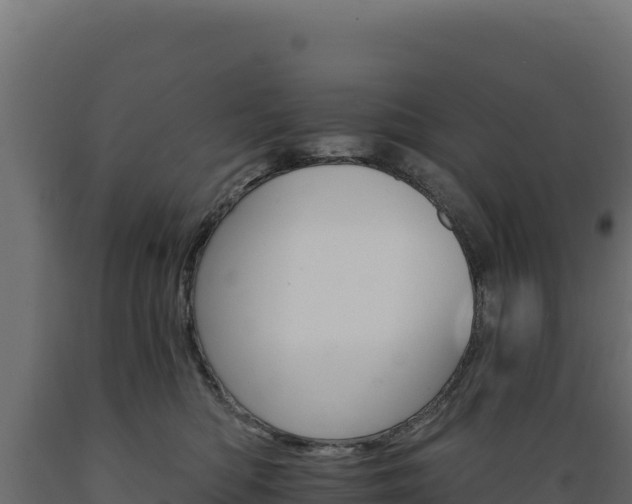 X0000089940422200707061104