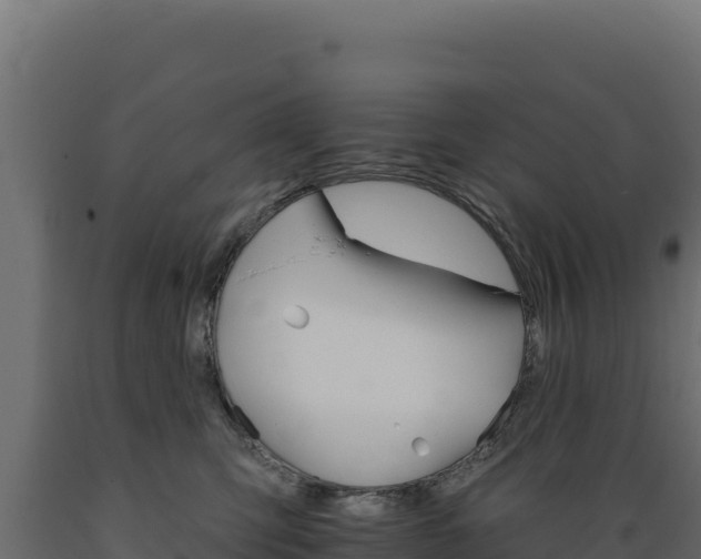 X0000089940423200707061104