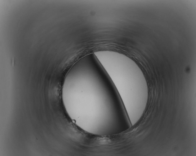 X0000089940424200707061104