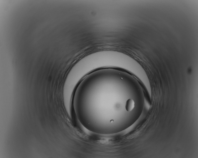 X0000089940425200707061104