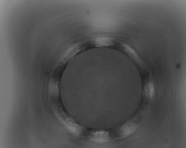 X0000089940426200707061104