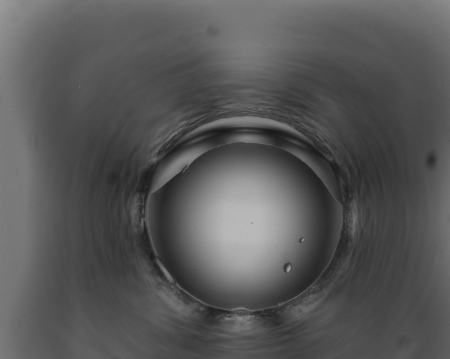 X0000089940428200707061104