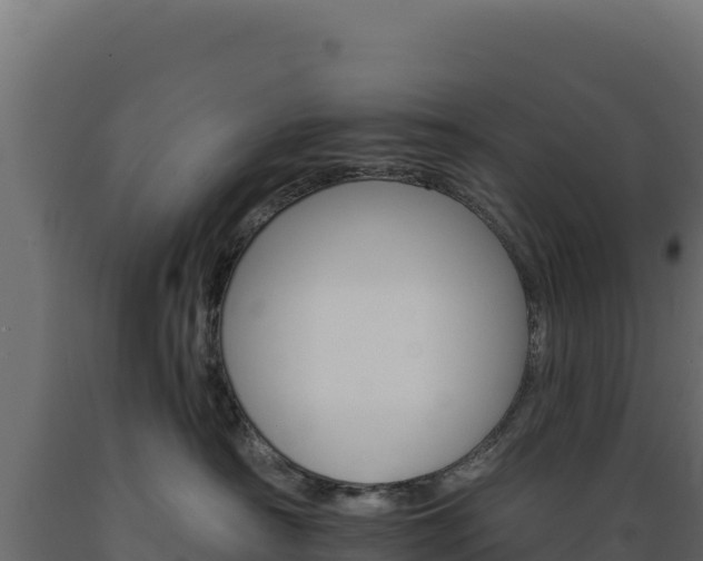 X0000089940430200707061104