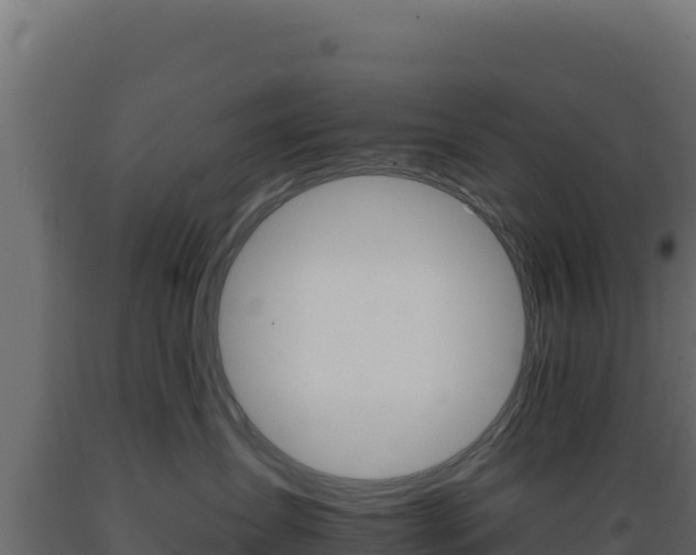 X0000089940431200707061104