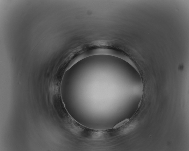 X0000089940432200707061104