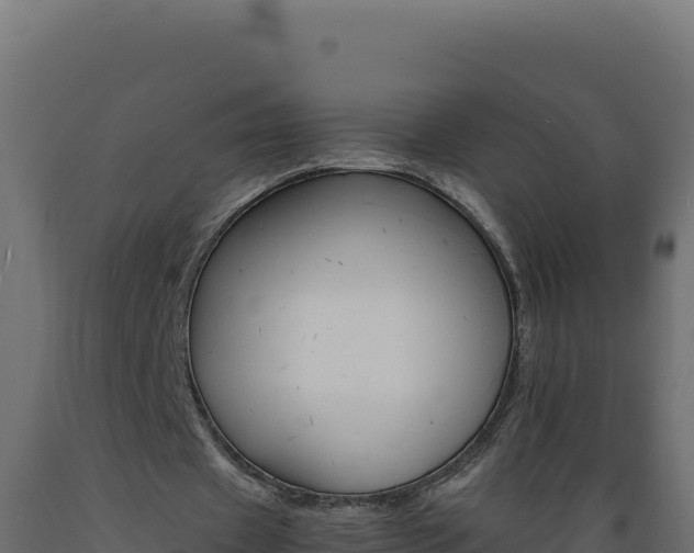 X0000089940433200707061103