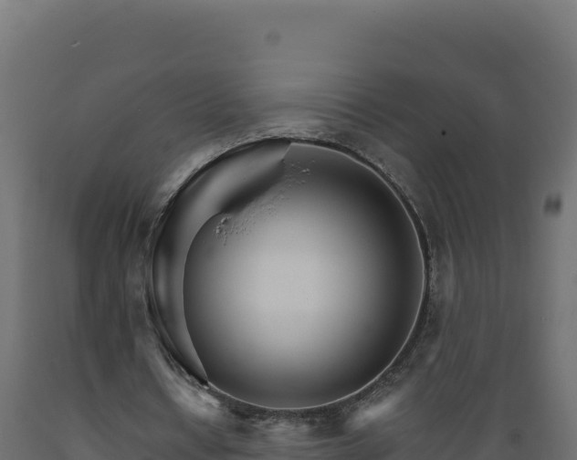 X0000089940434200707061103