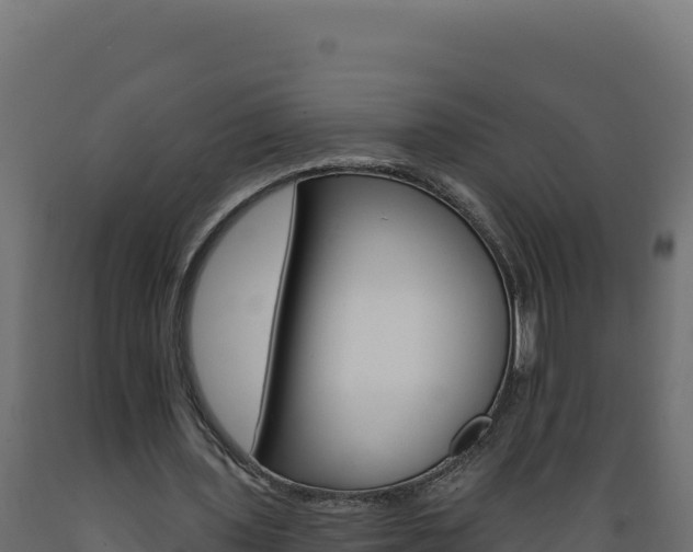 X0000089940435200707061103