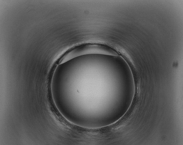 X0000089940436200707061103