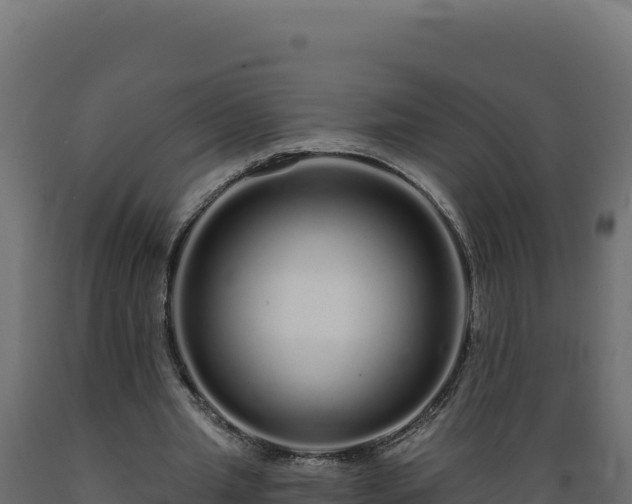 X0000089940437200707061103