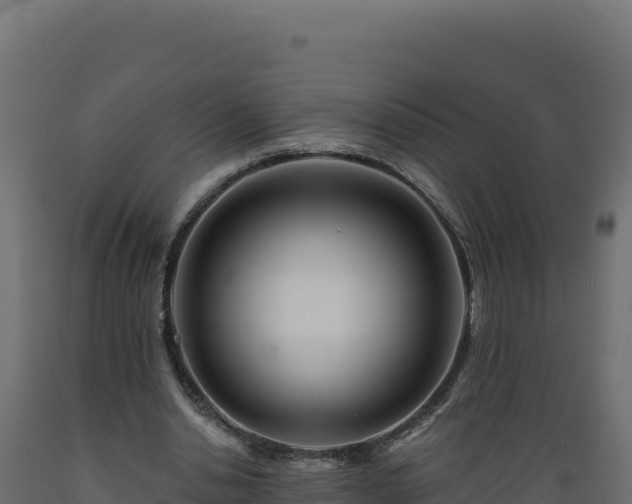 X0000089940438200707061103