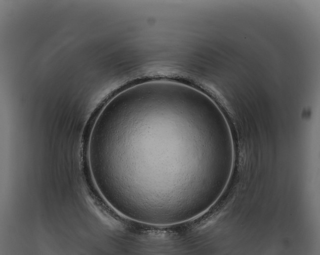 X0000089940439200707061103