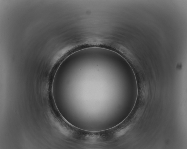 X0000089940440200707061103