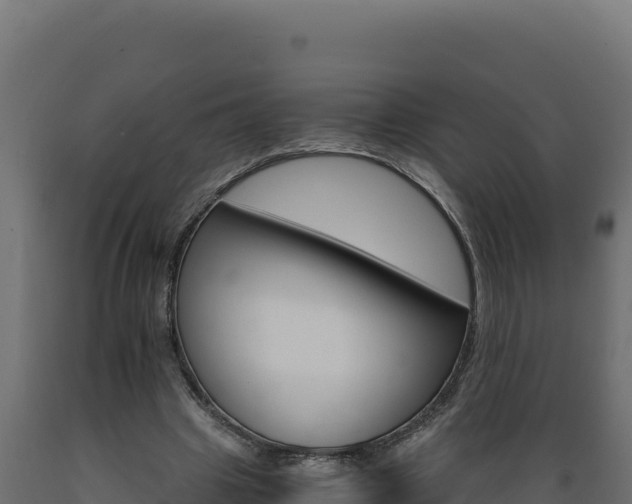 X0000089940441200707061103