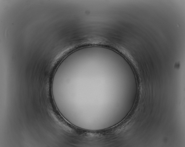 X0000089940442200707061103