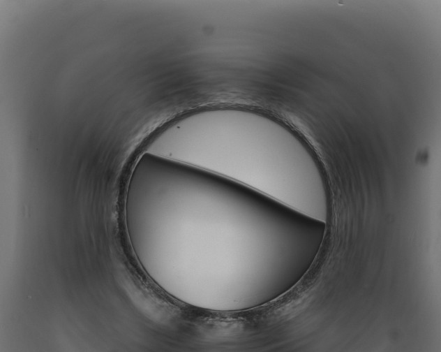 X0000089940443200707061103