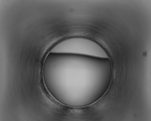 X0000089940444200707061103