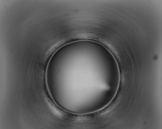 X0000089940445200707061103