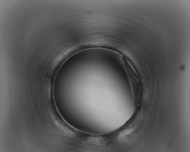 X0000089940446200707061103