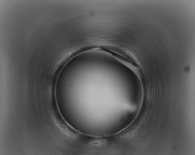 X0000089940447200707061103