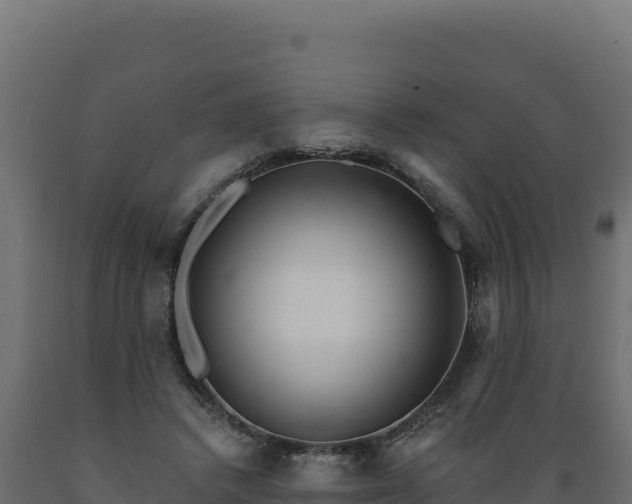 X0000089940448200707061103